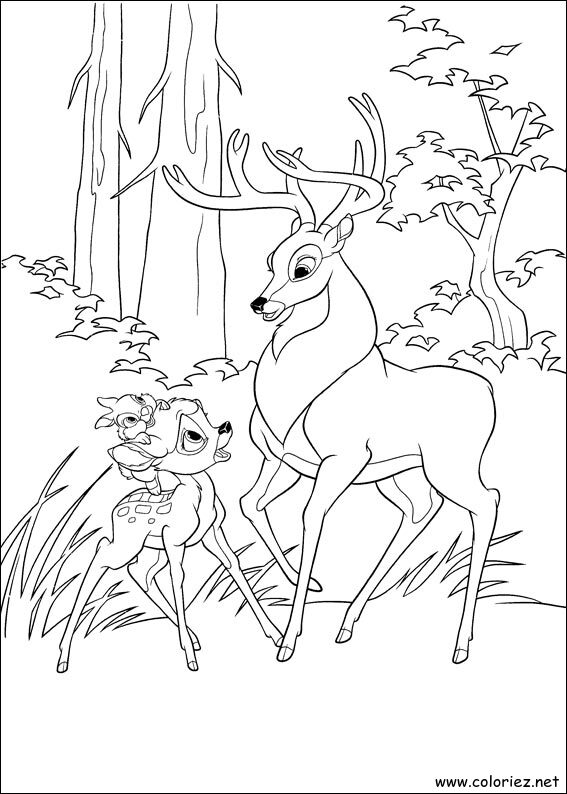 Coloriage de Bambi 2 à imprimer