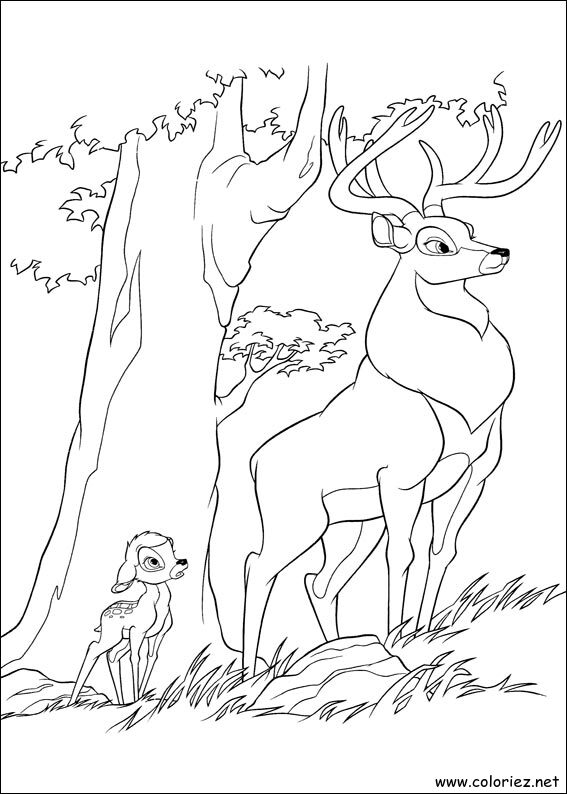 Coloriage de Bambi 2 à imprimer
