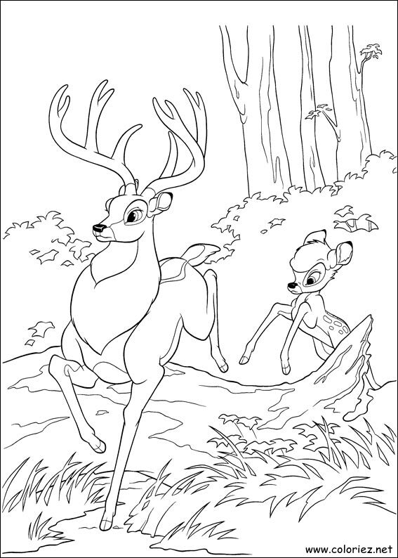 Coloriage de Bambi 2 à imprimer