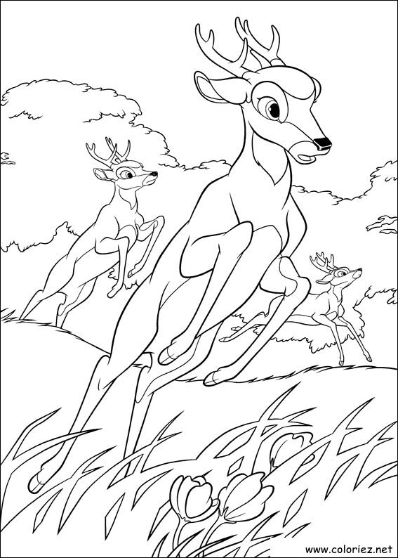 Coloriage de Bambi 2 à imprimer