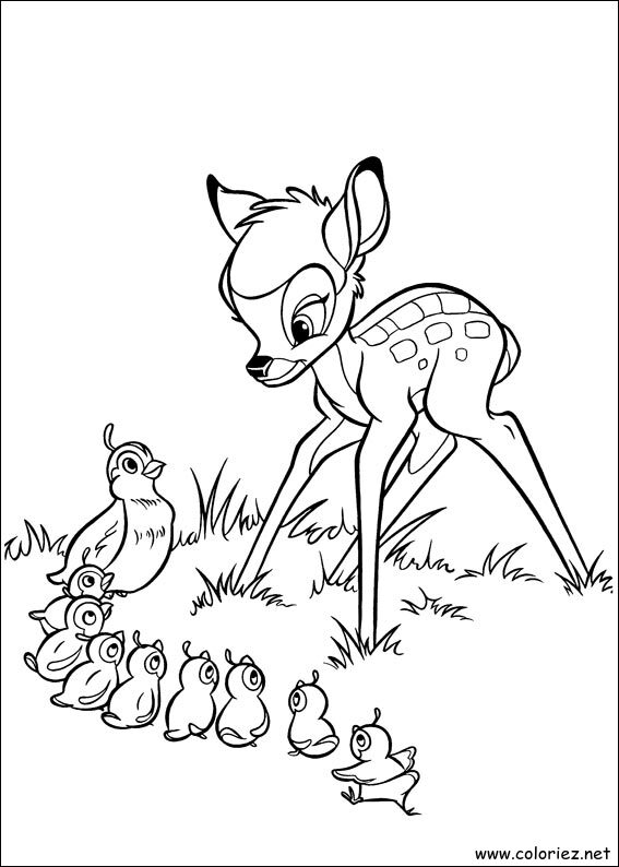 Coloriage de Bambi 2 à imprimer