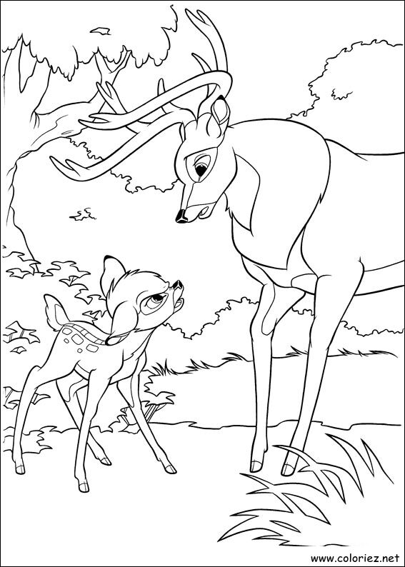 Coloriage de Bambi 2 à imprimer