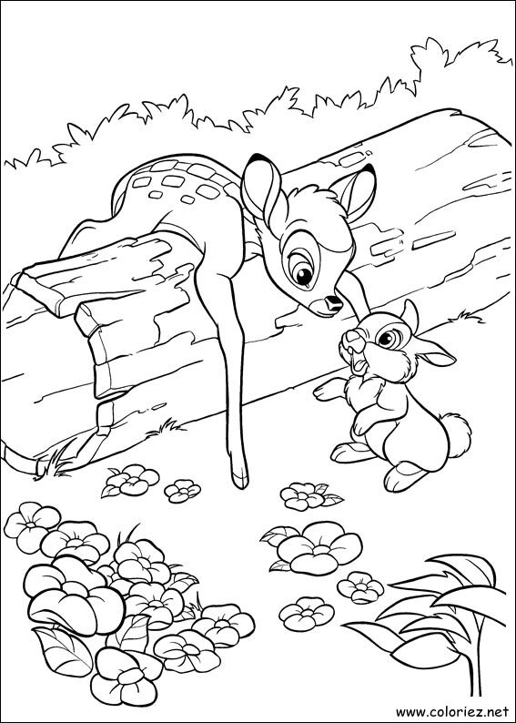 Coloriage de Bambi 2 à imprimer