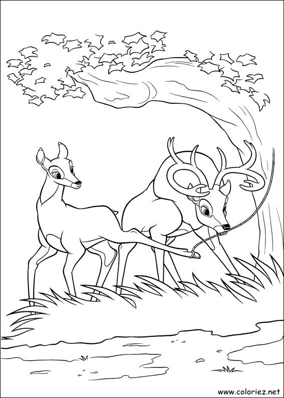 Coloriage de Bambi 2 à imprimer