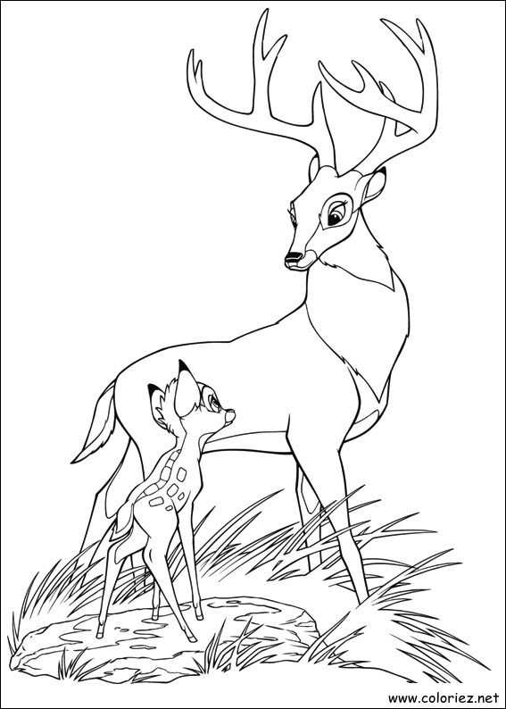 Coloriage de Bambi 2 à imprimer