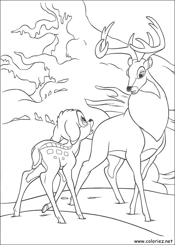 Coloriage de Bambi 2 à imprimer