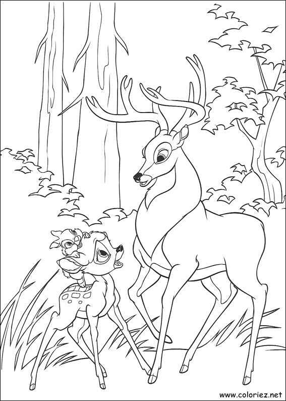 Coloriage de Bambi 2 à imprimer