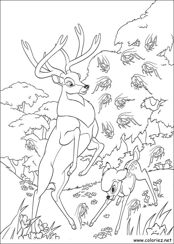 Coloriage de Bambi 2 à imprimer