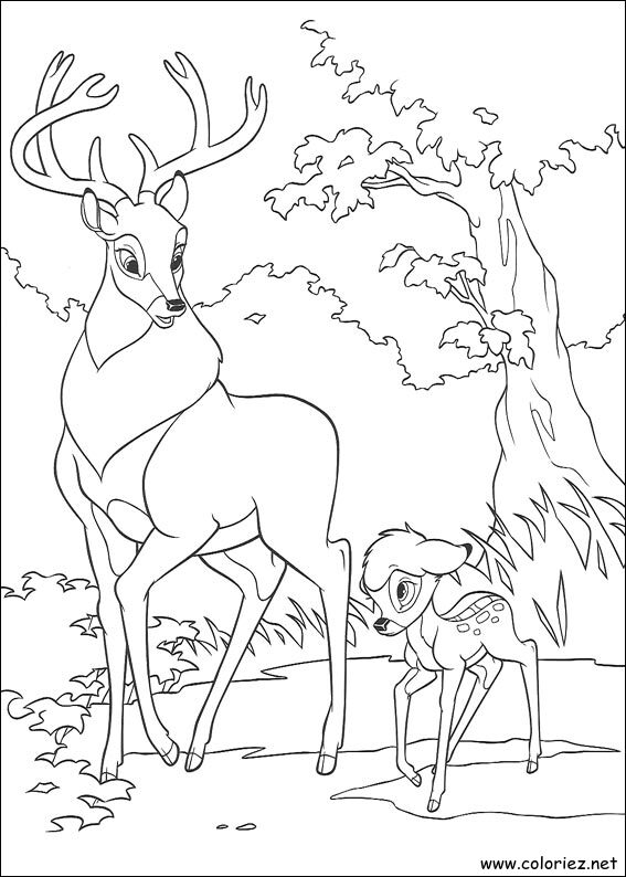 Coloriage de Bambi 2 à imprimer