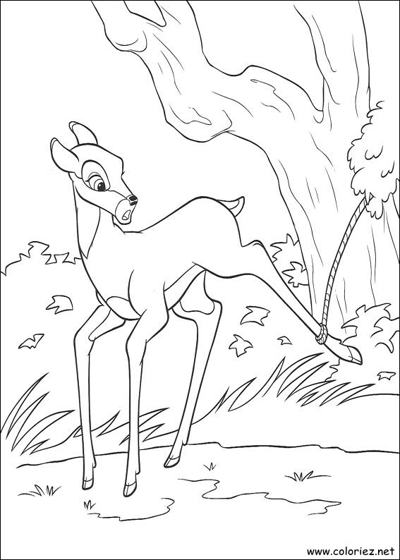 Coloriage de Bambi 2 à imprimer