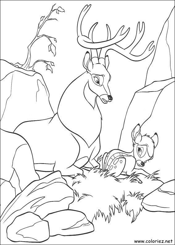 Coloriage de Bambi 2 à imprimer