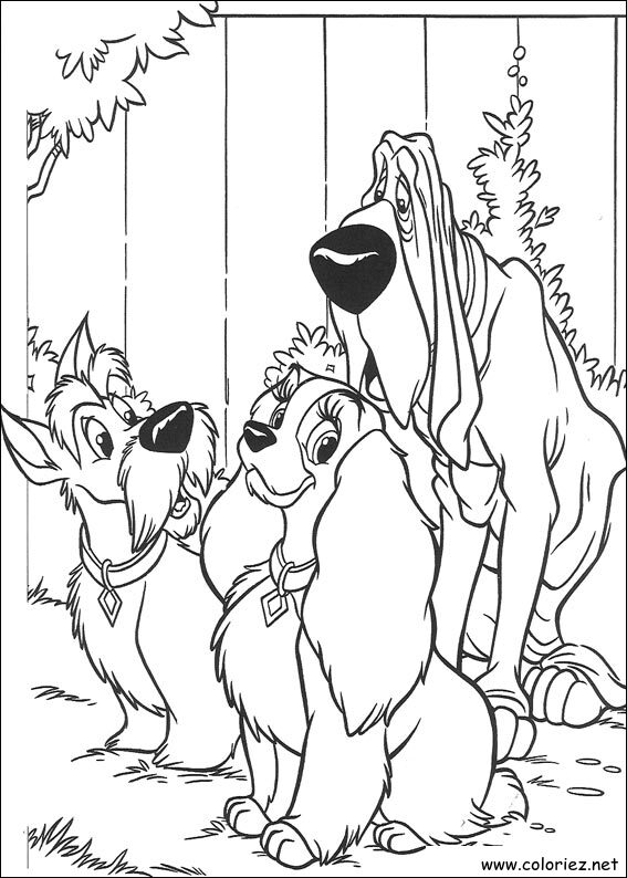 Coloriage de Jock, Lady et César à imprimer