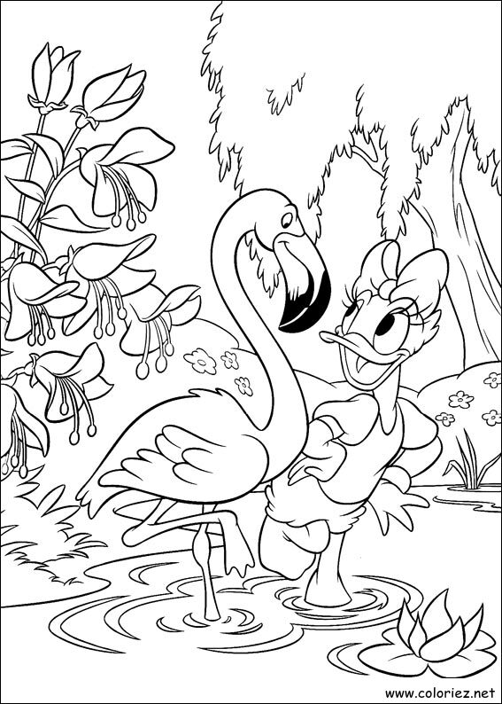 Coloriage de Daisy à imprimer