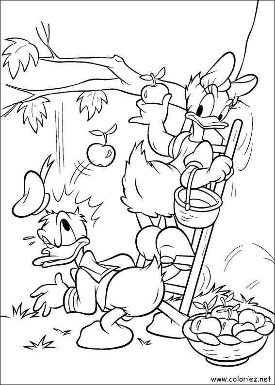 Coloriage de Daisy à imprimer