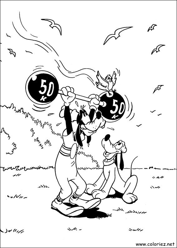 Coloriage de Dingo à imprimer !