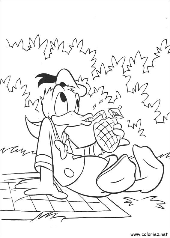 Coloriage de Donald à imprimer !
