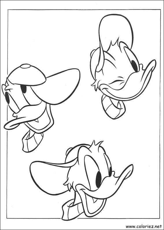 Coloriage de Donald à imprimer !