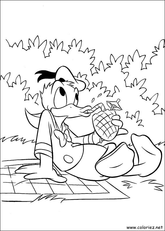 Coloriage de Donald à imprimer !