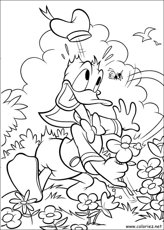 Coloriage de Donald à imprimer !