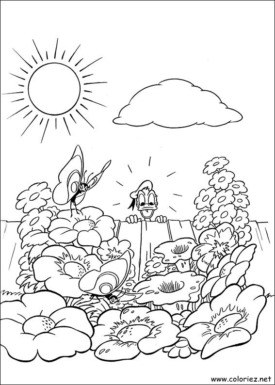 Coloriage de Donald à imprimer !