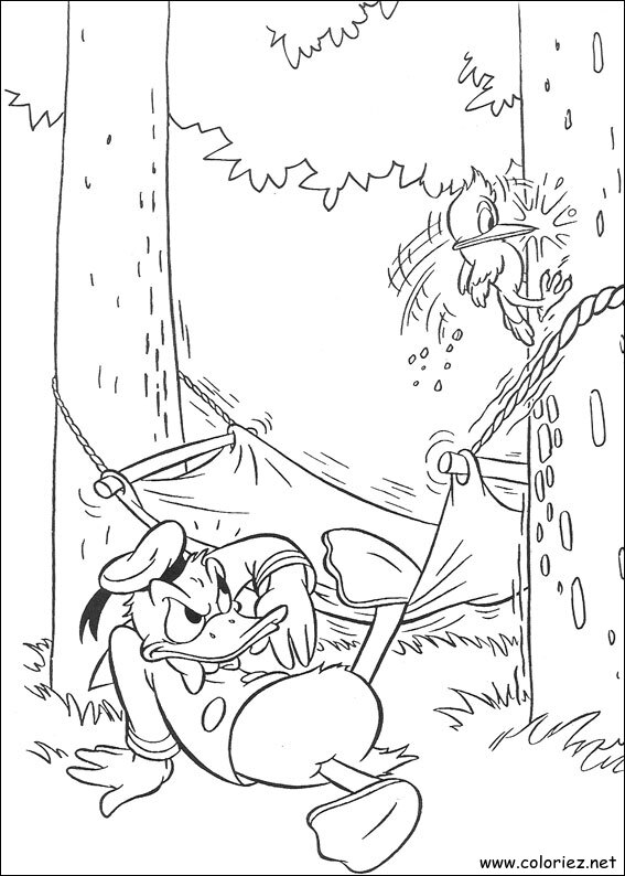 Coloriage de Donald à imprimer !