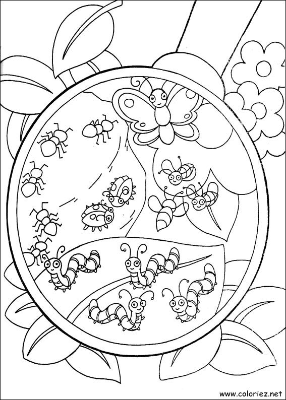 Coloriage de Dora l'Exploratrice à imprimer !