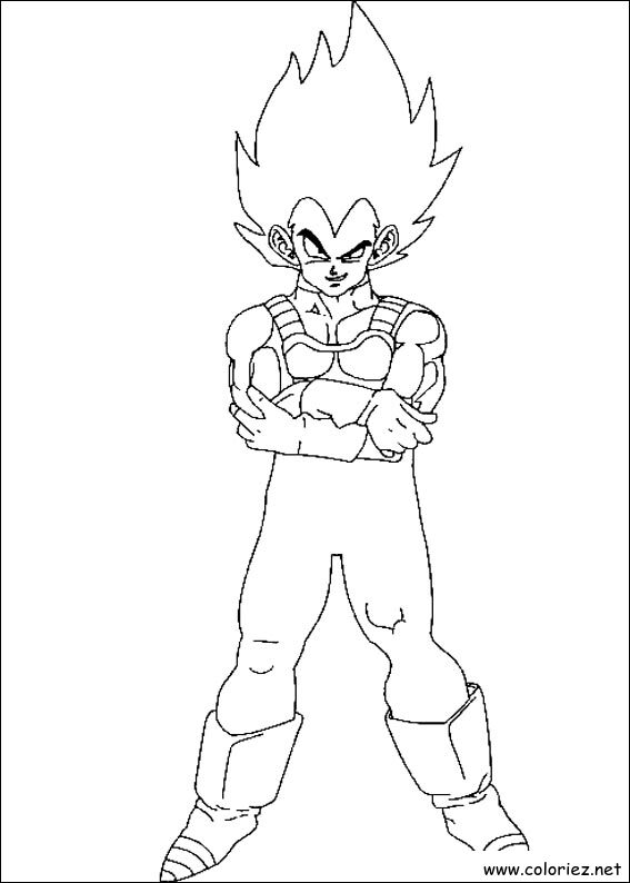 Coloriage de Dragon Ball Z à imprimer !