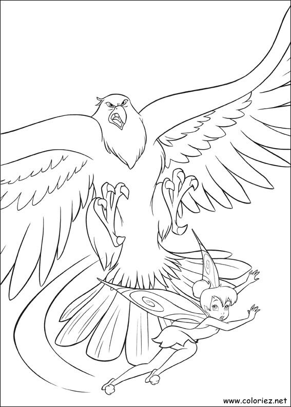 Coloriage de La fée clochette à imprimer