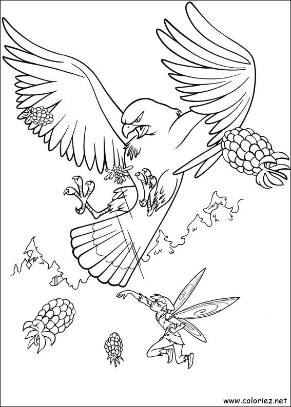 Coloriage de La fée clochette à imprimer