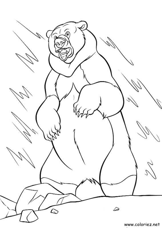 Coloriage de Frère des Ours à imprimer