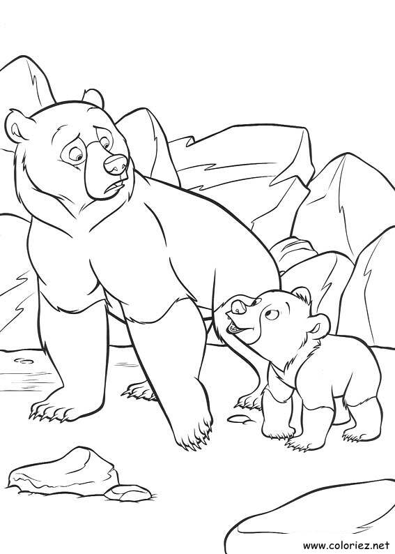 Coloriage de Frère des Ours à imprimer