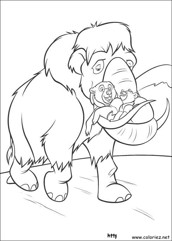 Coloriage de Frère des Ours à imprimer