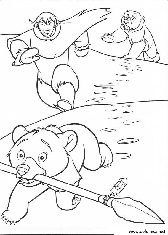 Coloriage de Frère des Ours à imprimer