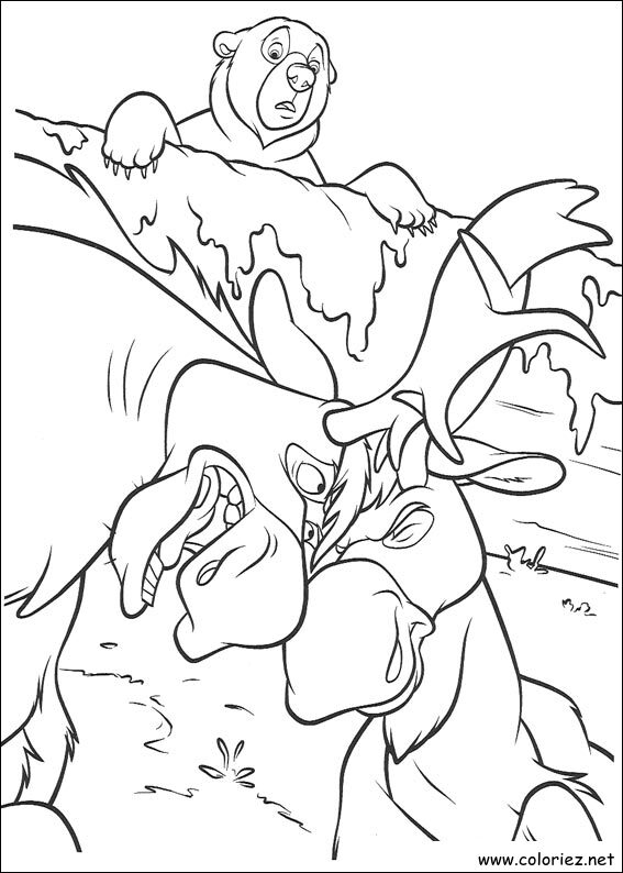Coloriage de Frère des Ours à imprimer