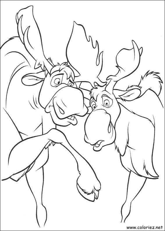 Coloriage de Frère des Ours à imprimer