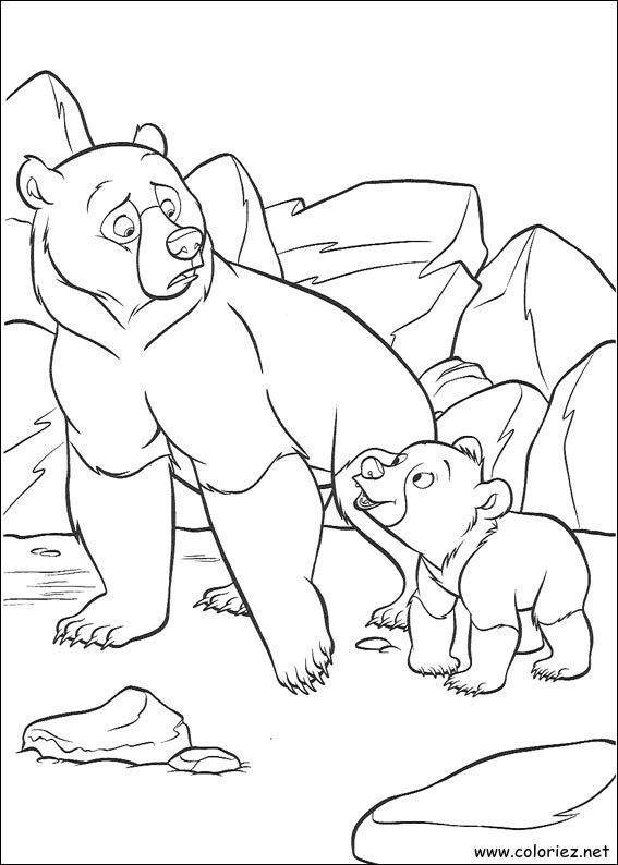 Coloriage de Frère des Ours à imprimer
