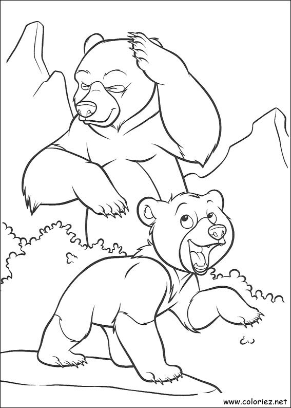 Coloriage de Frère des Ours à imprimer