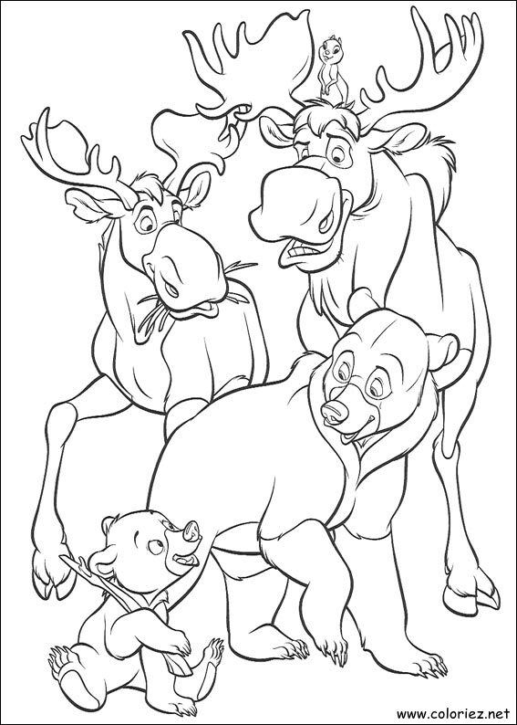 Coloriage de Frère des Ours à imprimer