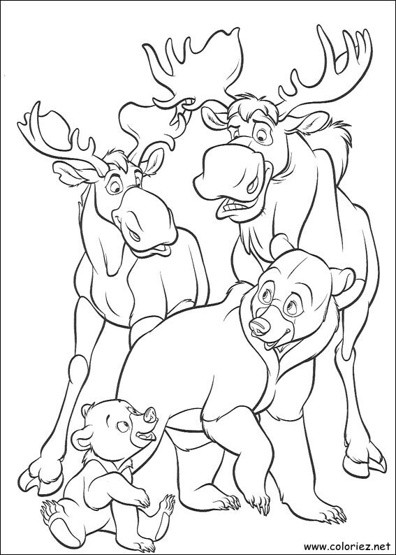 Coloriage de Frère des Ours à imprimer