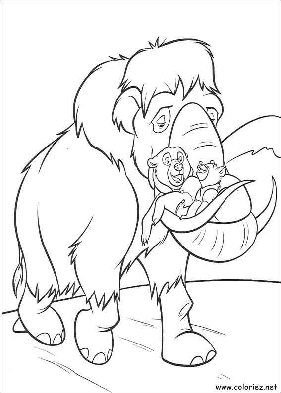 Coloriage de Frère des Ours à imprimer