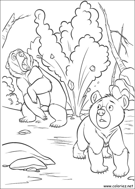 Coloriage de Frère des Ours à imprimer