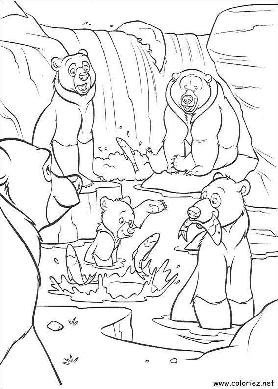 Coloriage de Frère des Ours à imprimer