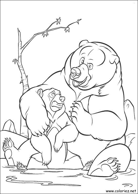 Coloriage de Frère des Ours à imprimer