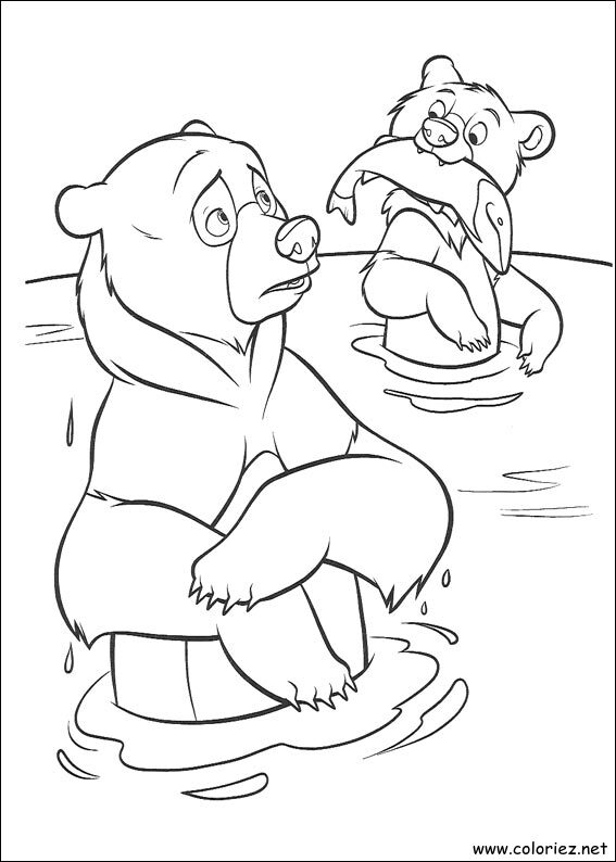 Coloriage de Frère des Ours à imprimer