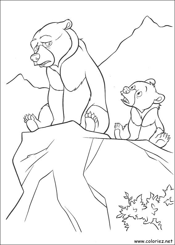 Coloriage de Frère des Ours à imprimer