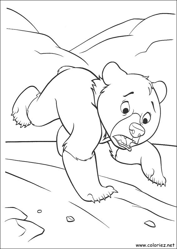 Coloriage de Frère des Ours à imprimer