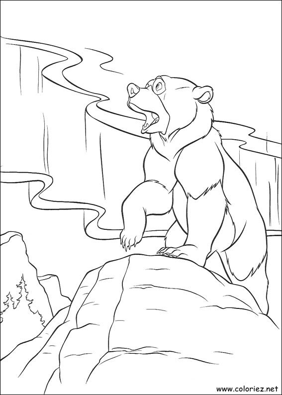 Coloriage de Frère des Ours à imprimer