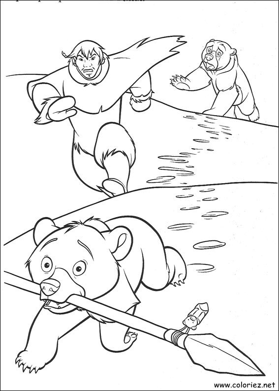 Coloriage de Frère des Ours à imprimer