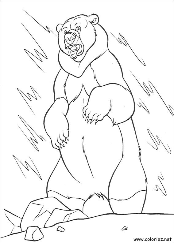 Coloriage de Frère des Ours à imprimer