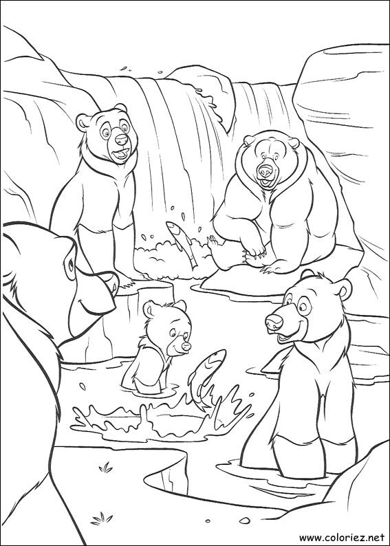 Coloriage de Frère des Ours à imprimer